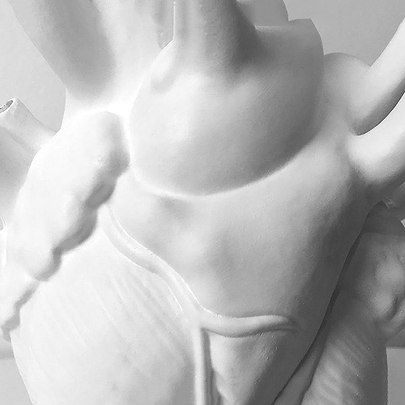 dropship Vase In The Shape Of Human Heart; Home Decoration; Desktop Art Craft Ornament; Exquisite And High-end Indoor Vase; Organ Design Flower Container