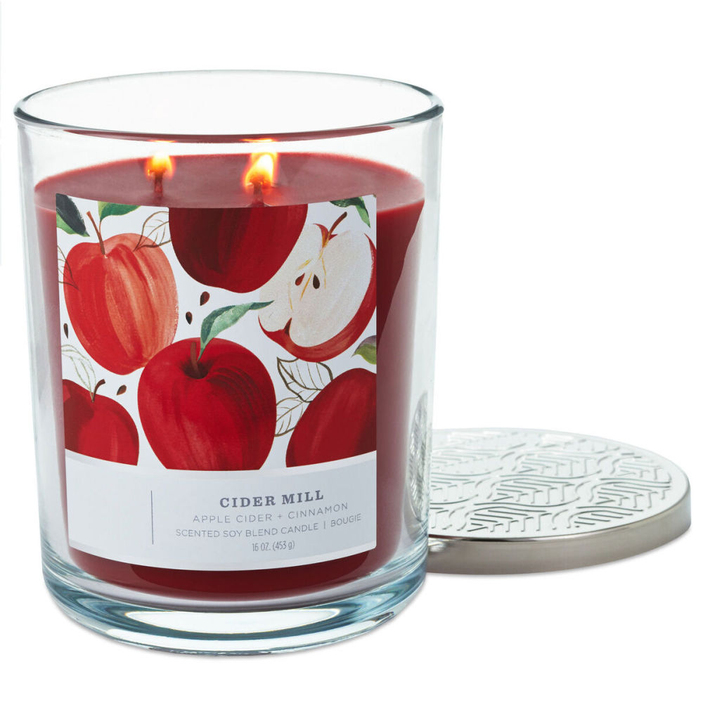 dropship Perfect Present Indoor/Outdoor Home Decor 3-Wick 16 oz Jar Candle