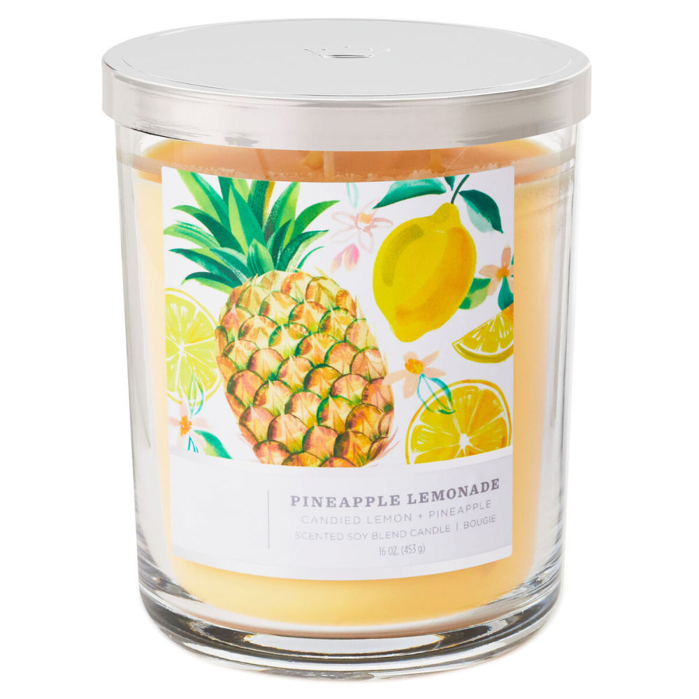 dropship Perfect Present Indoor/Outdoor Home Decor 3-Wick 16 oz Jar Candle