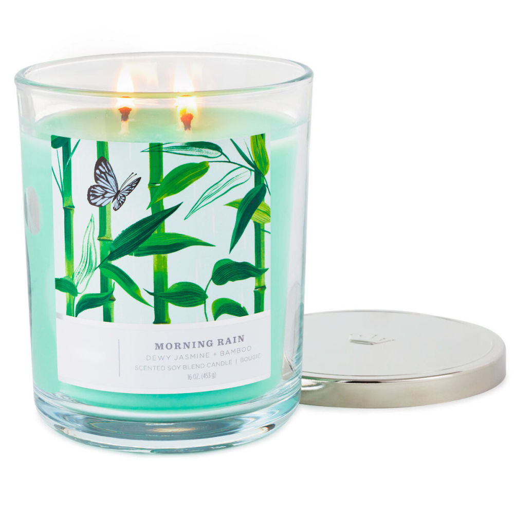 dropship Perfect Present Indoor/Outdoor Home Decor 3-Wick 16 oz Jar Candle