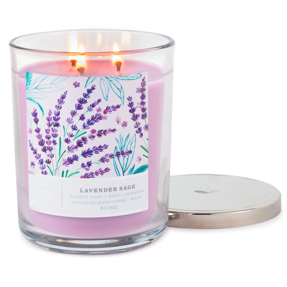 dropship Perfect Present Indoor/Outdoor Home Decor 3-Wick 16 oz Jar Candle