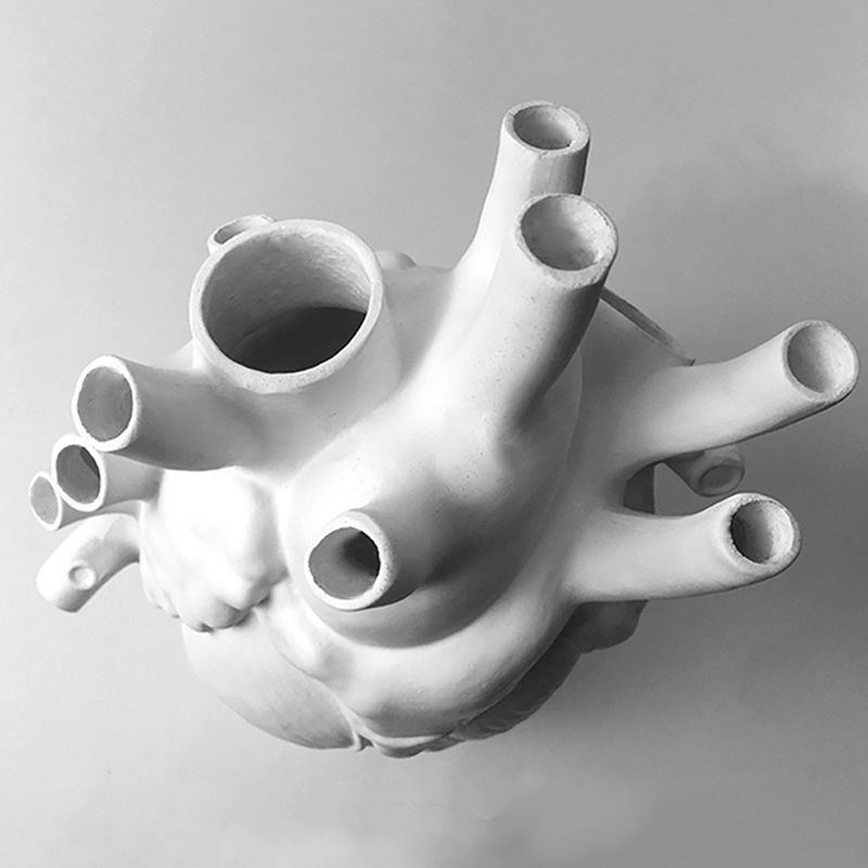 dropship Vase In The Shape Of Human Heart; Home Decoration; Desktop Art Craft Ornament; Exquisite And High-end Indoor Vase; Organ Design Flower Container