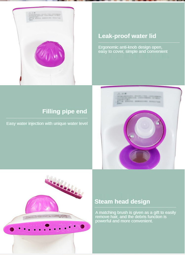 dropship Home Handheld Portable Steam Iron Multifunctional Professional Electric Ironing Machine Garment Steamer For Clothes
