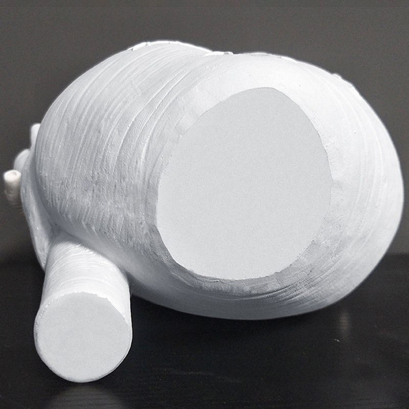 dropship Vase In The Shape Of Human Heart; Home Decoration; Desktop Art Craft Ornament; Exquisite And High-end Indoor Vase; Organ Design Flower Container