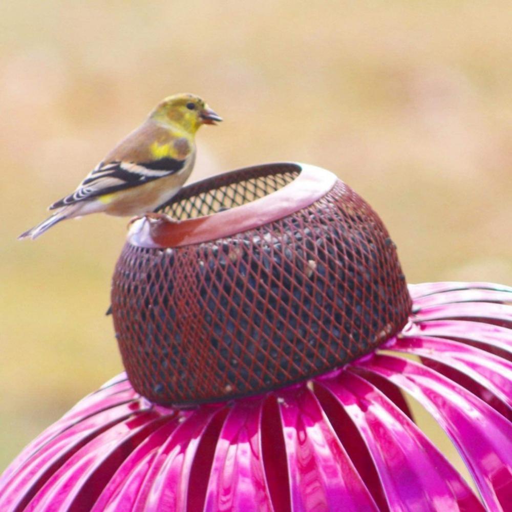 dropship Pink Coneflower Bird Feeder Outdoor Decoration Garden Flower Picaflor Wild Bird Feeder Feeding Outside Rust Resistant Art Metal