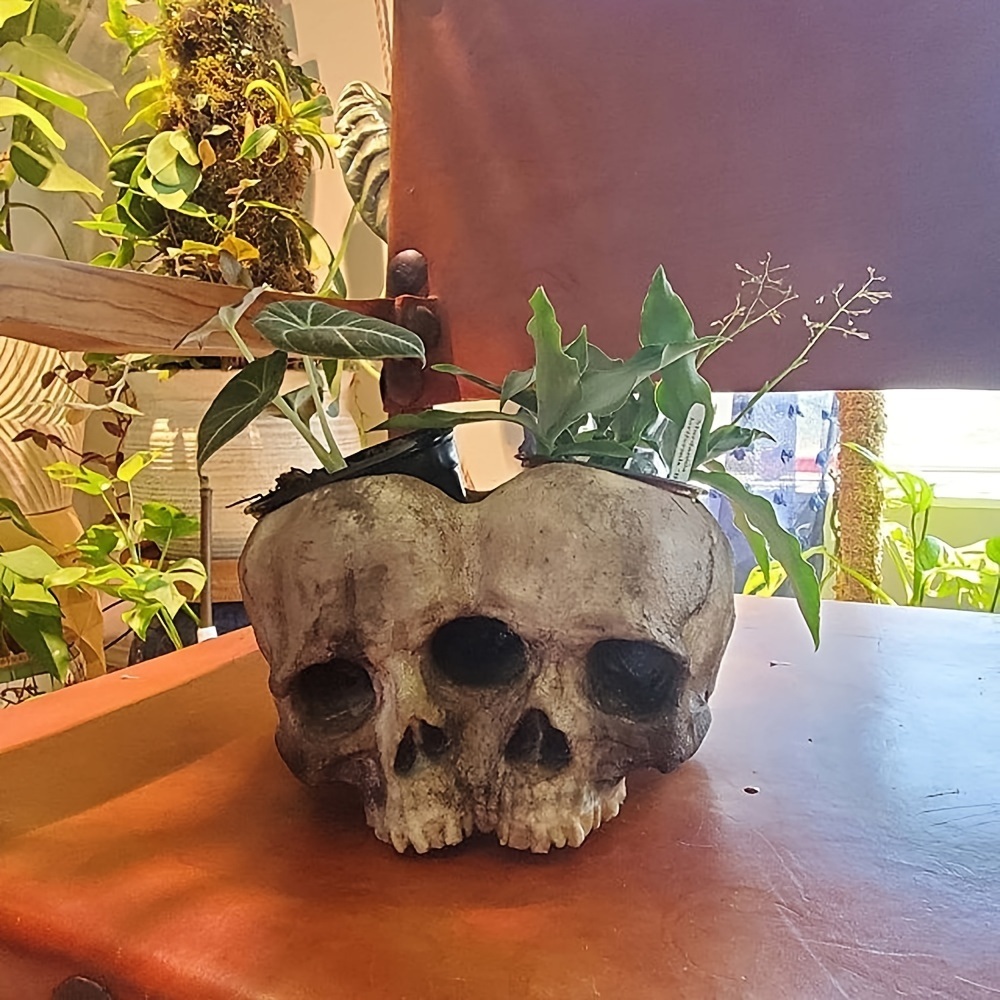 dropship 1pc Skull Planter Pots For Indoor Plants; Skull Plant Pot Head Yard Art Outdoor And Garden Decor Outside Spring Skull Flower Pot