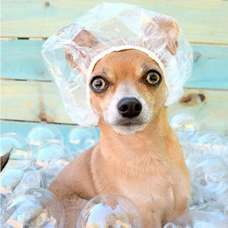 dropship 100pcs Plastic Disposable Shower Cap; Hair Dye Shower Cap; Plastic Beauty Salon Cap