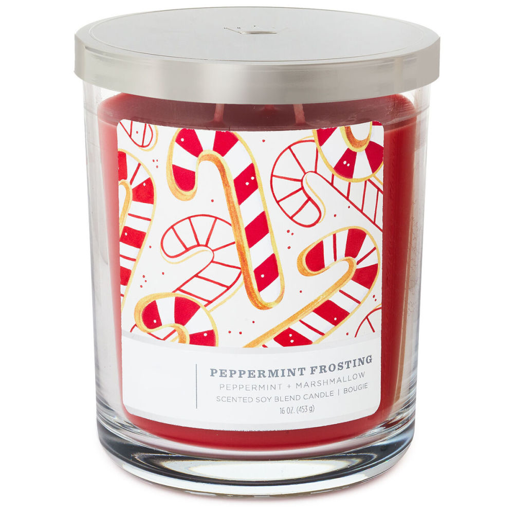 dropship Perfect Present Indoor/Outdoor Home Decor 3-Wick 16 oz Jar Candle