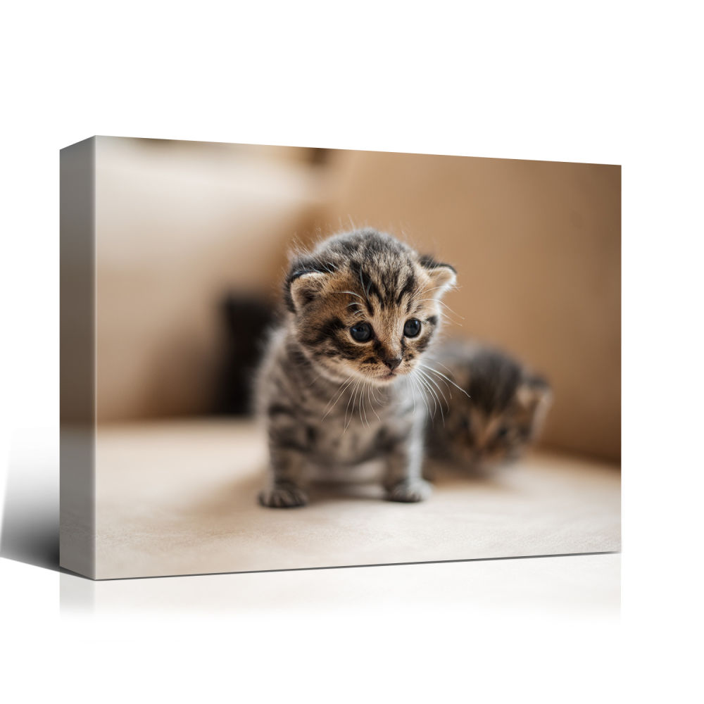 dropship Customize Canvas Prints with Your Photo Canvas Wall Art- Personalized Canvas Picture, Customized To Any Style, US Factory Drop Shipping,Gifts for Family, Wedding, Friends, Home Decoration,Pet/Animal
