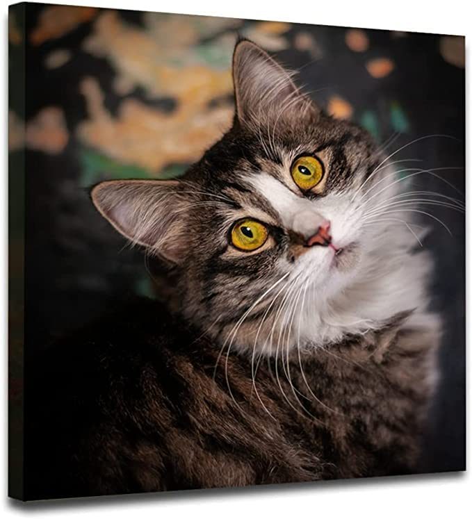 dropship Customize Canvas Prints with Your Photo Canvas Wall Art- Personalized Canvas Picture, Customized To Any Style, US Factory Drop Shipping,Gifts for Family, Wedding, Friends, Home Decoration,Pet/Animal